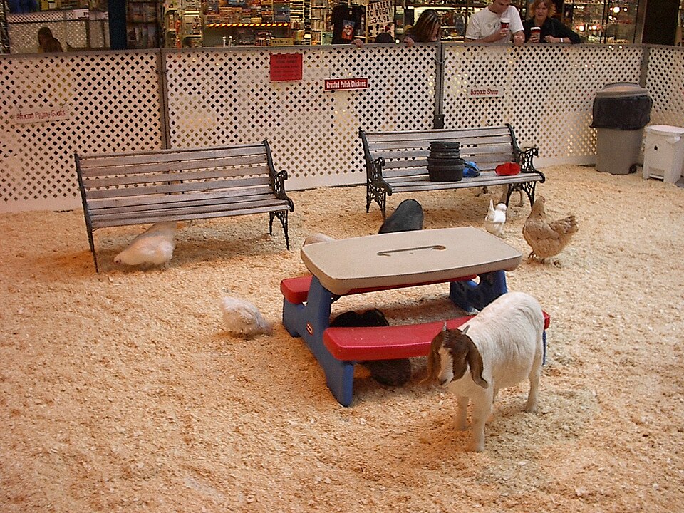Kinderboerderij De Oedenstee