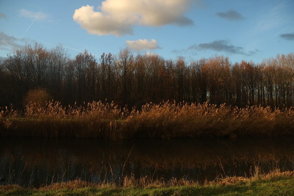 Uit Spijkenisse
