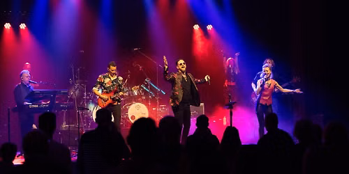Kingdom of Toto @ Theater Twee Hondjes — muziek in Spijkenisse