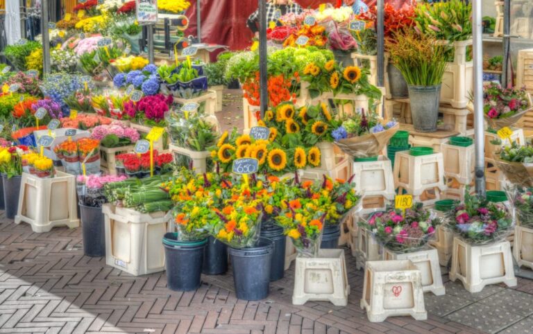 Steenweg 2 – Boerderijfair voor SMA de Wereld Uit 2026 — Braderie en jaarmarkt in Spijkenisse