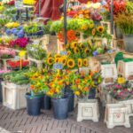 Steenweg 2 – Boerderijfair voor SMA de Wereld Uit