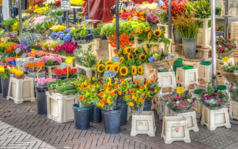 Steenweg 2 – Boerderijfair voor SMA de Wereld Uit 2026 — Braderie en jaarmarkt in Spijkenisse